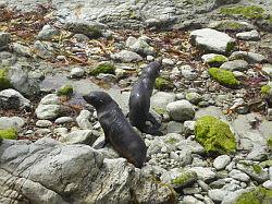 Kaikoura en Picton