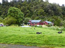 Lake Waikaremoana en Falls