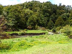 Lake Waikaremoana en Falls