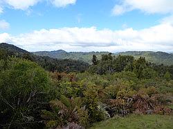 Lake Waikaremoana en Falls