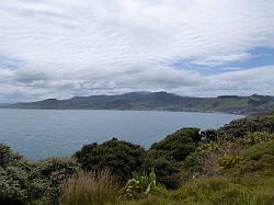 Onderweg naar Waipoua Forest