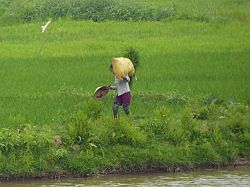 Vietnam - Tam Coc