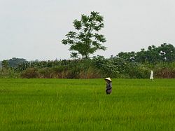 Vietnam - Hoi An